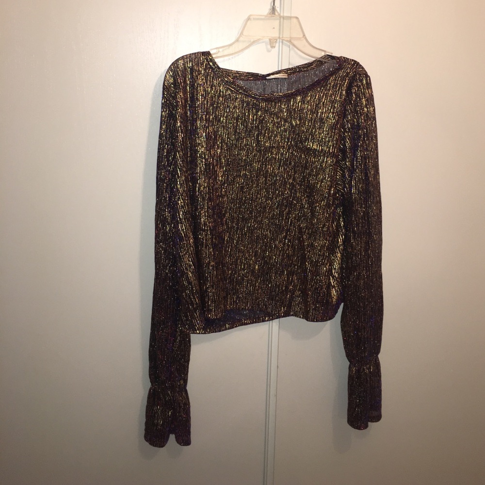 🆕 ZARA Sequins blouse
